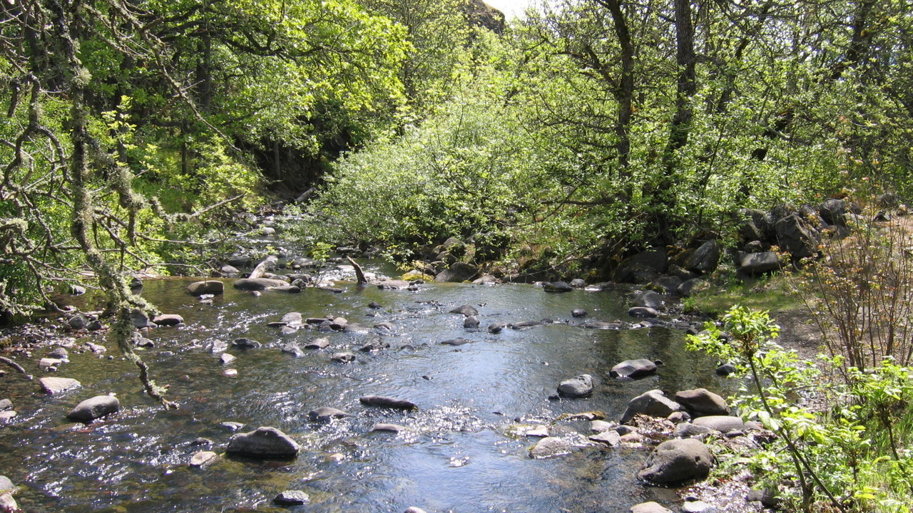 Image 16