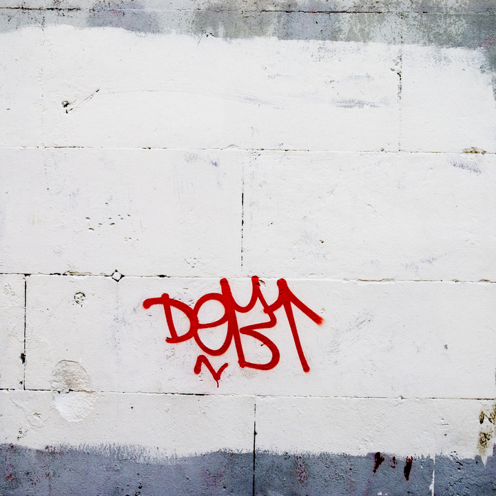 Image 19