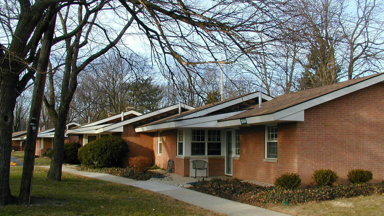 Image 15