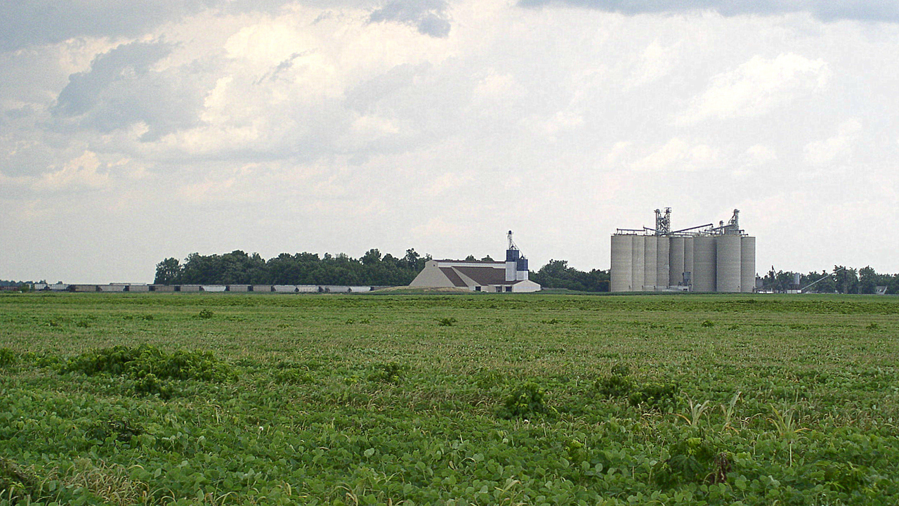 Image 16