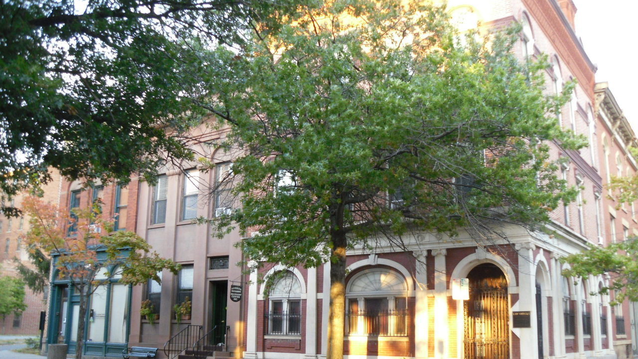 Image 8