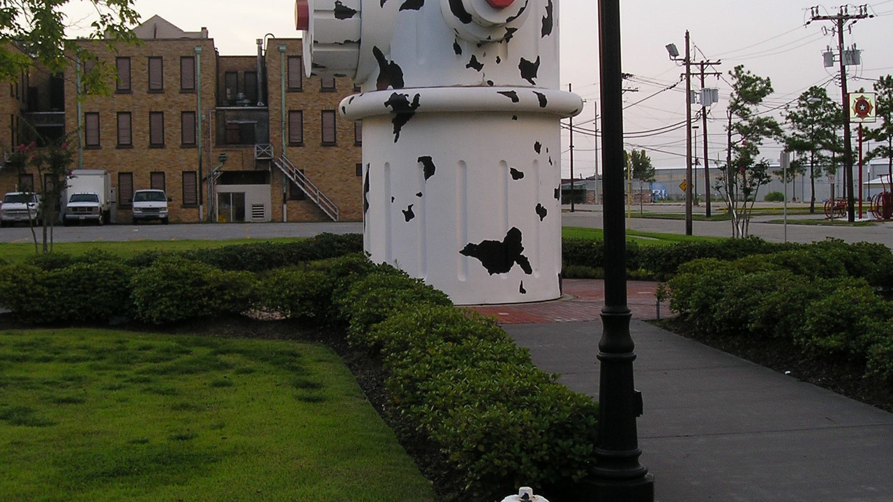 Image 3