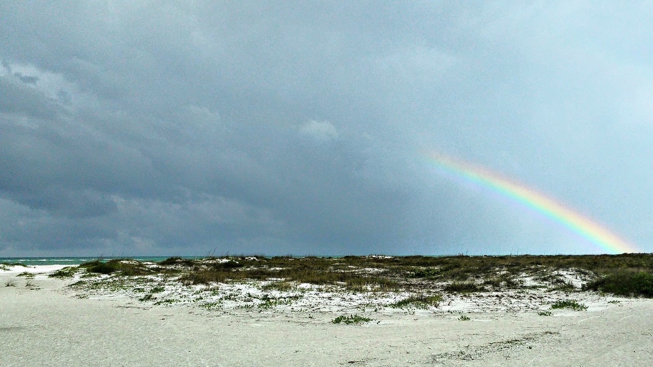 Image 9
