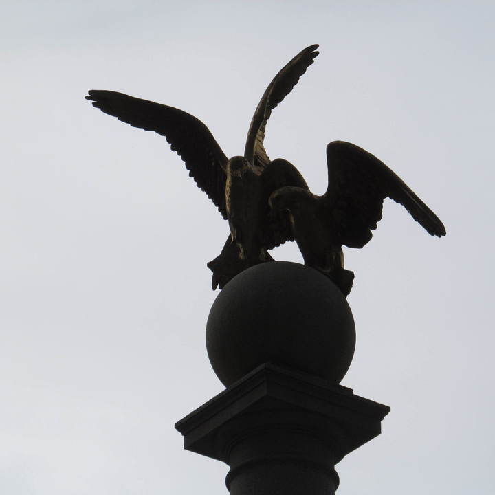 Image 23