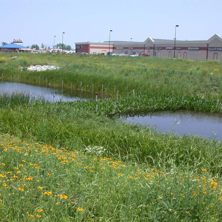 Image 20
