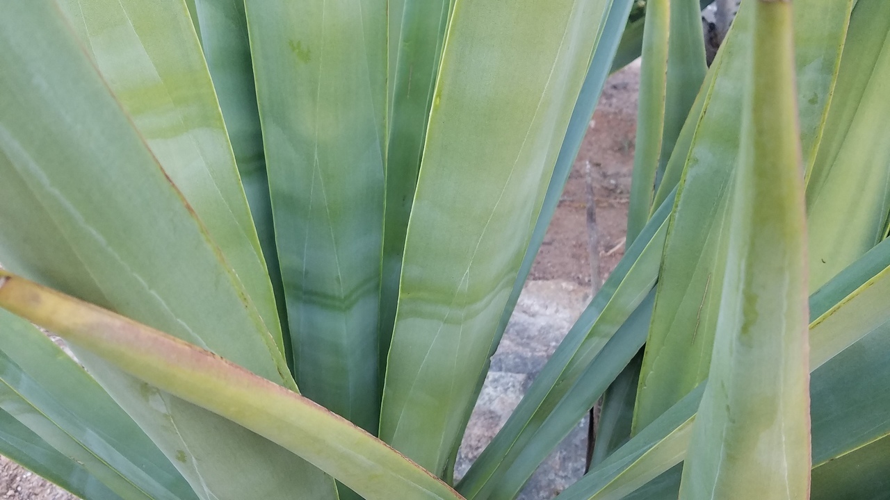 Image 16