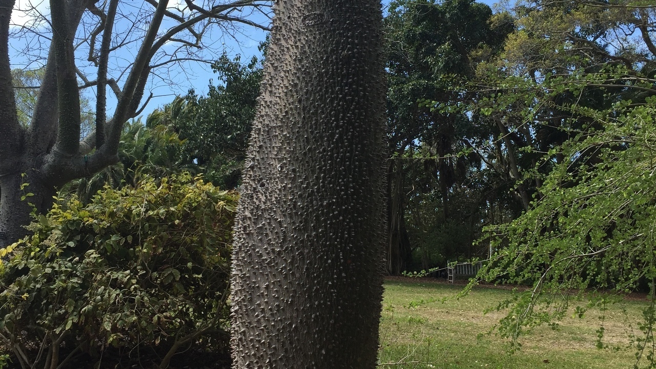 Image 8