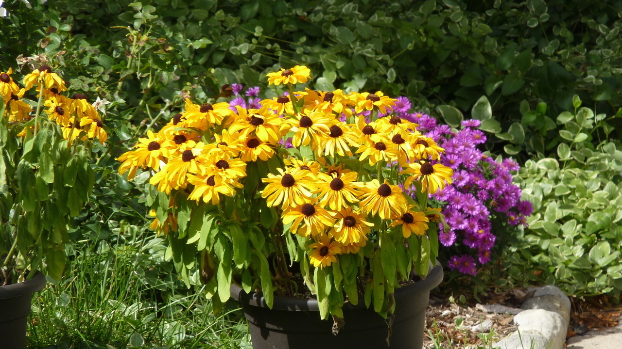 Image 31