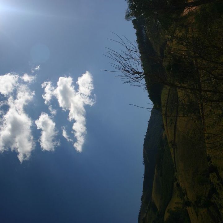 Image 21