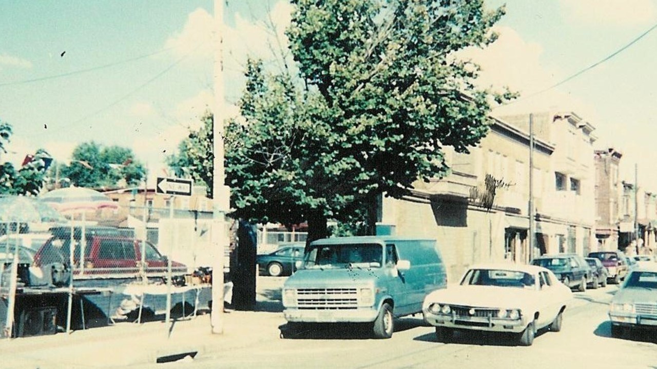 Image 15