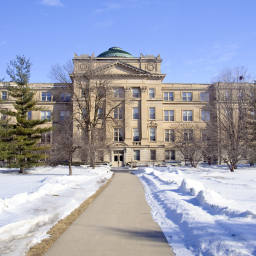 Image 21