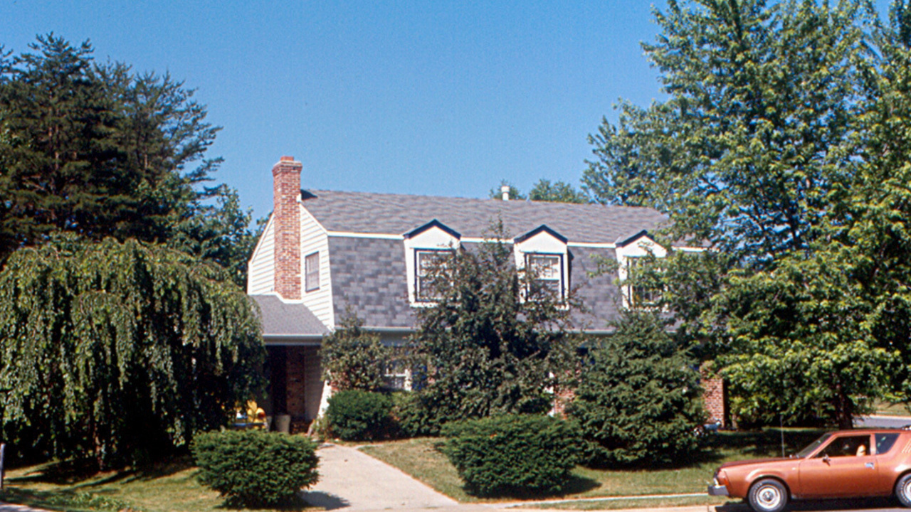 Image 31