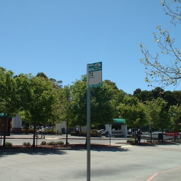 Image 21