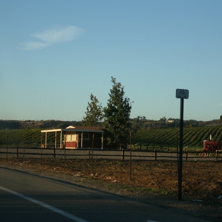 Image 23