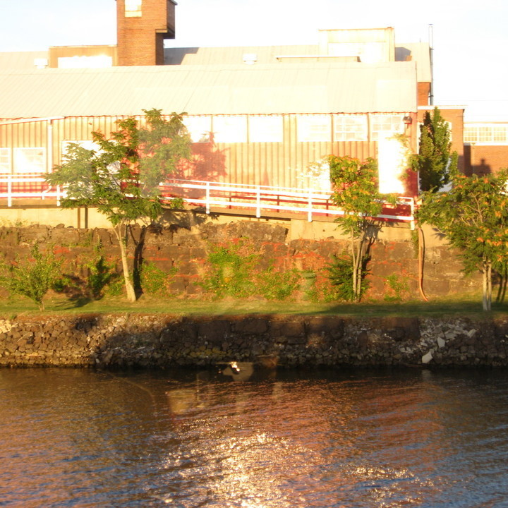 Image 20