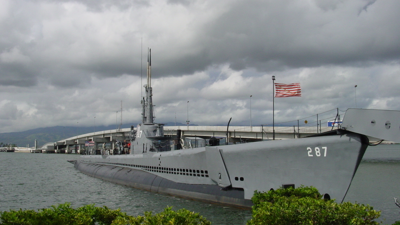 Image 7