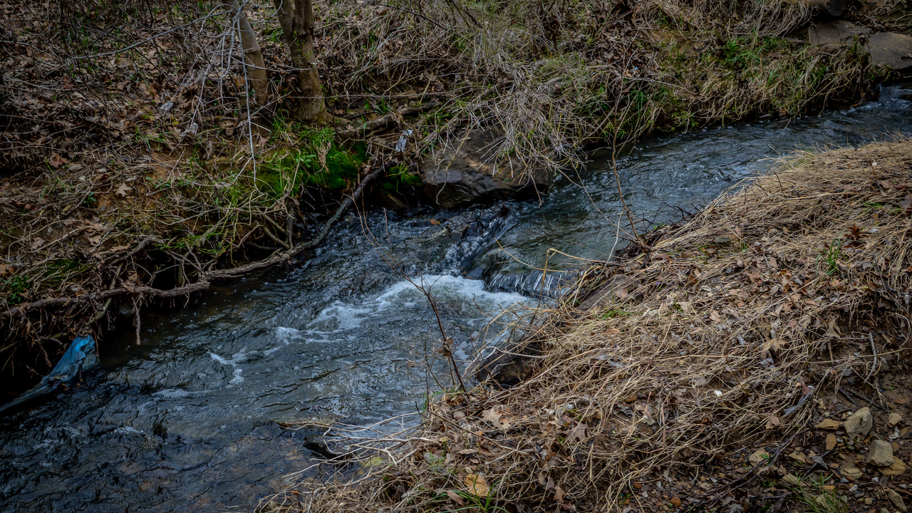Image 16