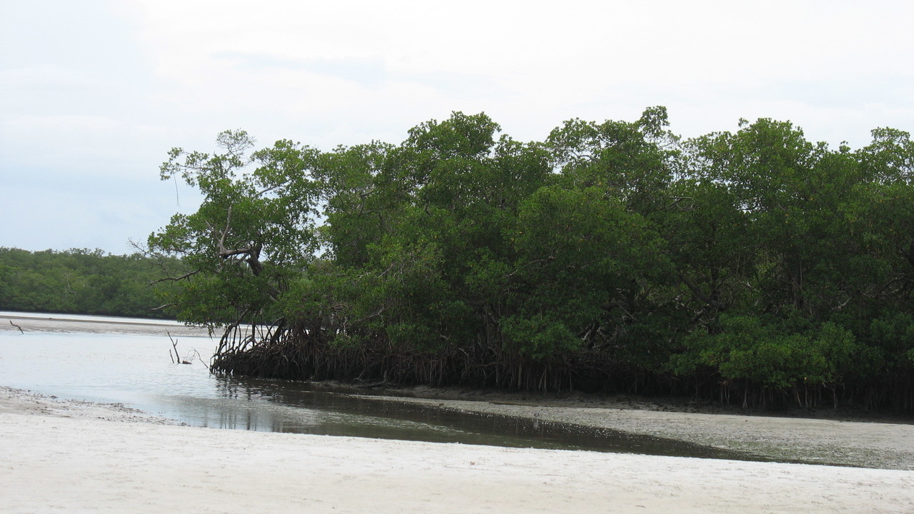 Image 15