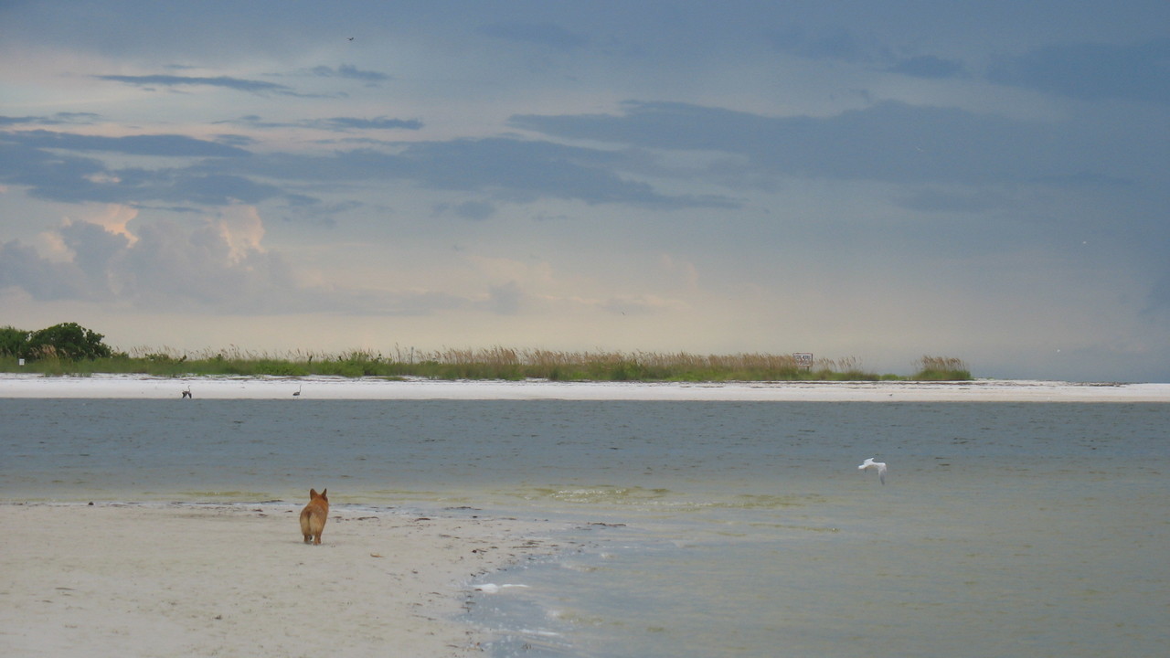 Image 7