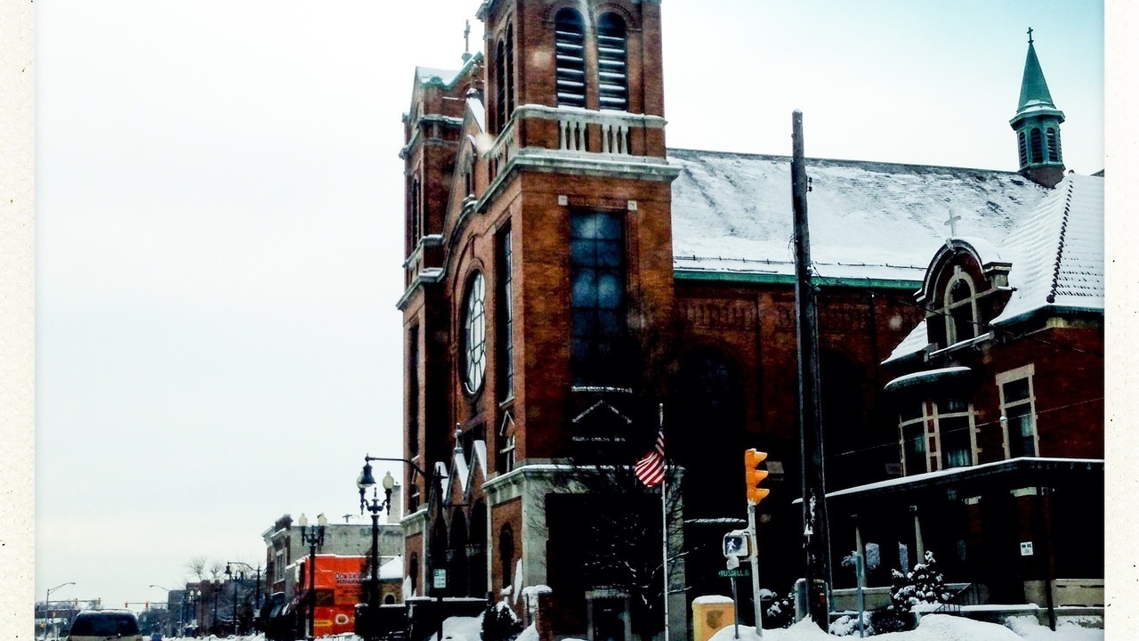 Image 8