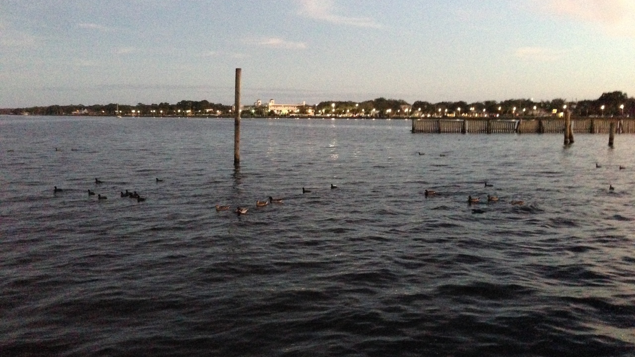 Image 7