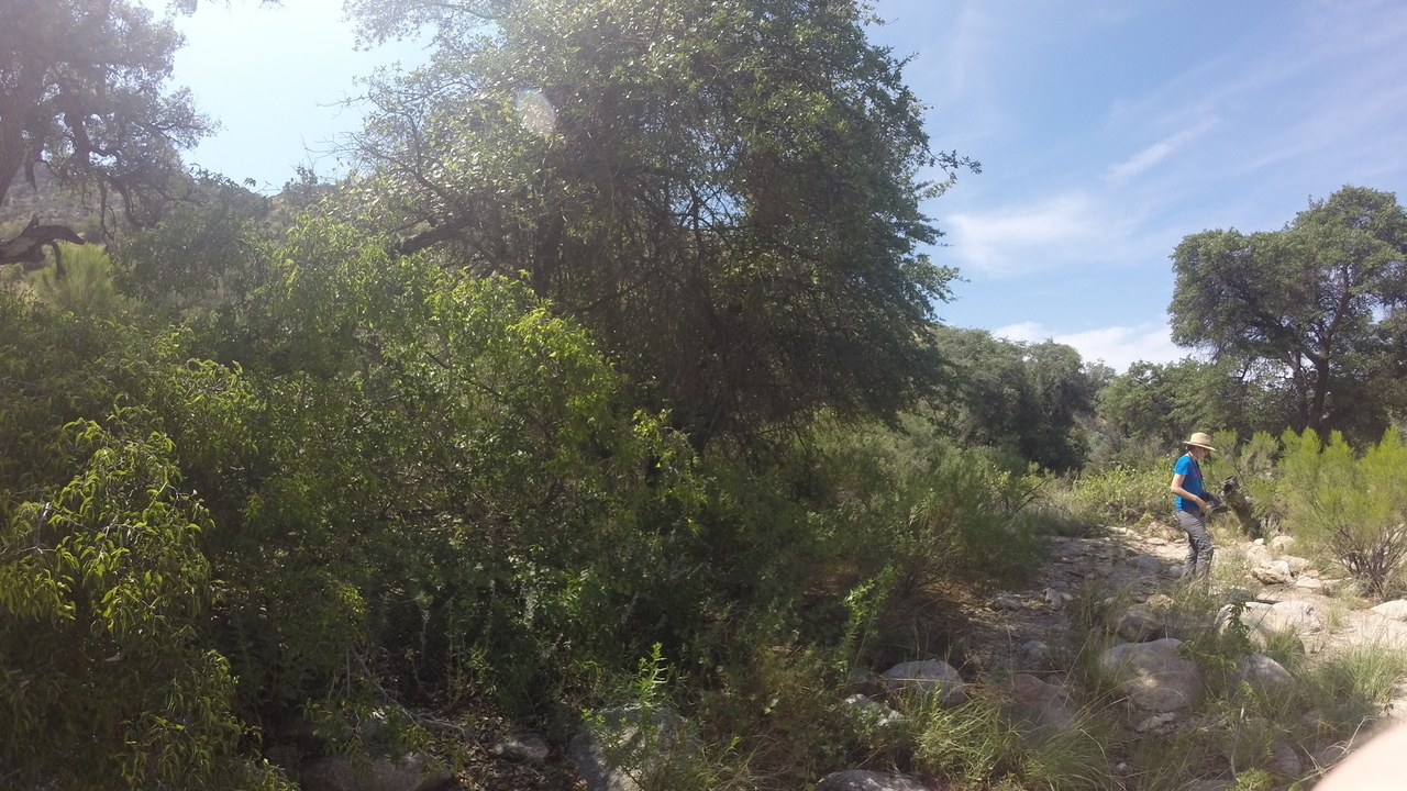 Image 6