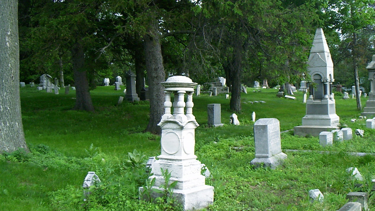 Image 9