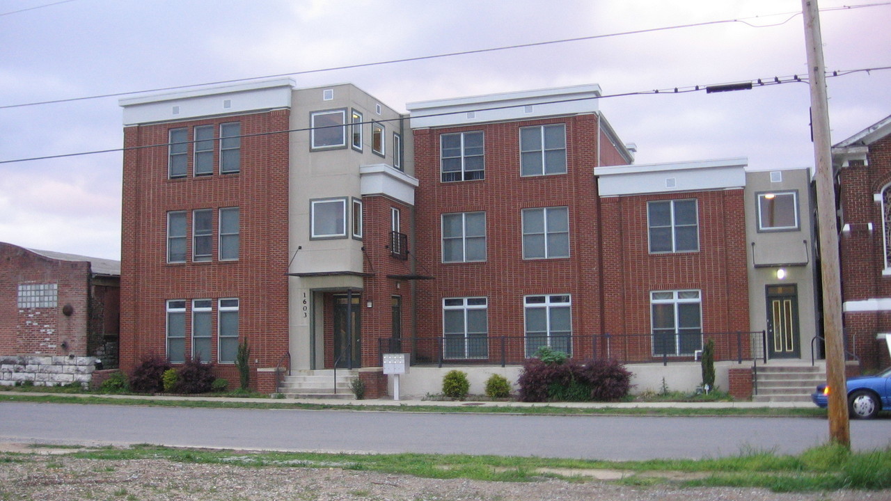 Image 7