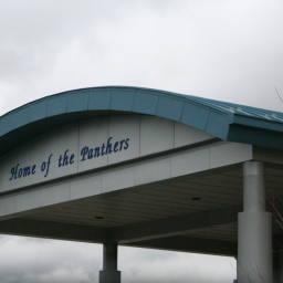 Image 16