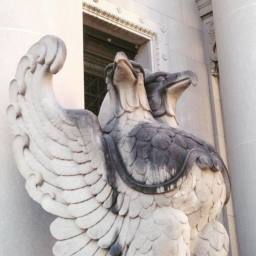 Image 31