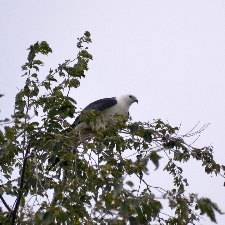 Image 23