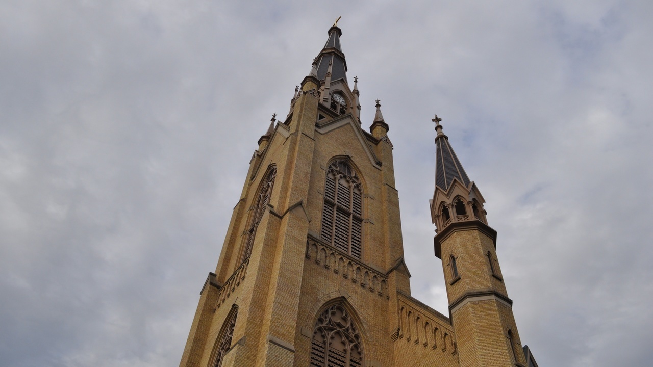 Image 7