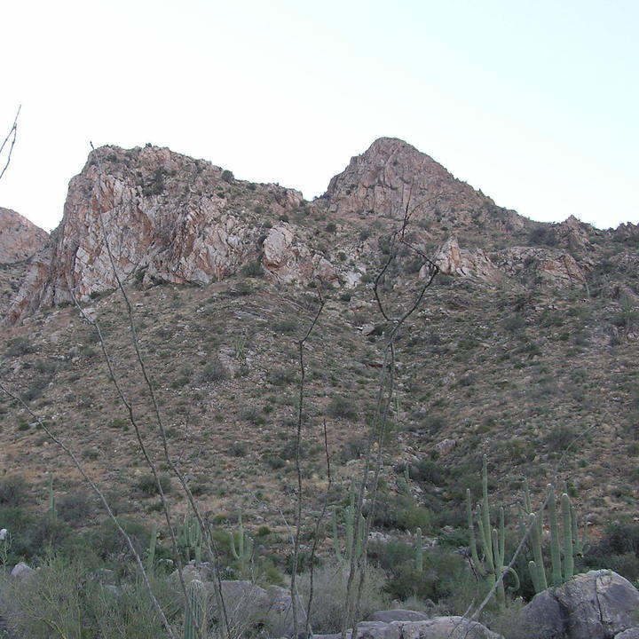 Image 1