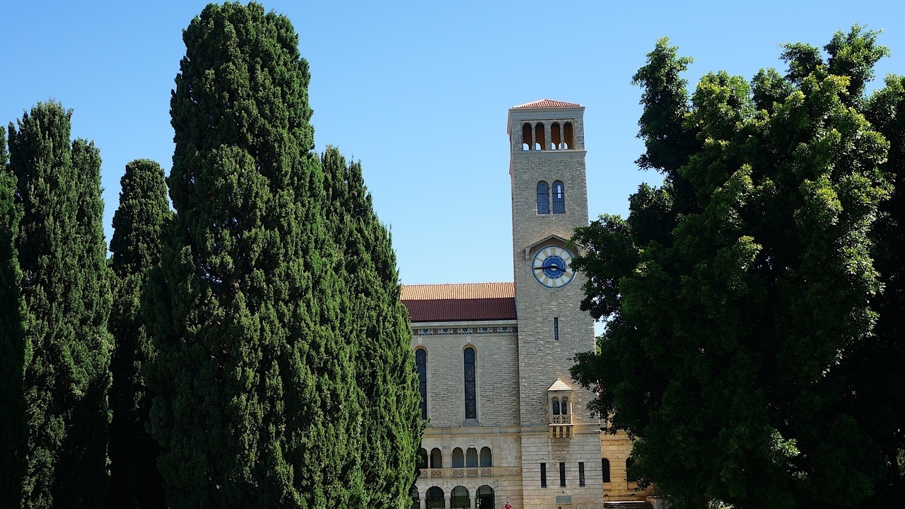 Image 15