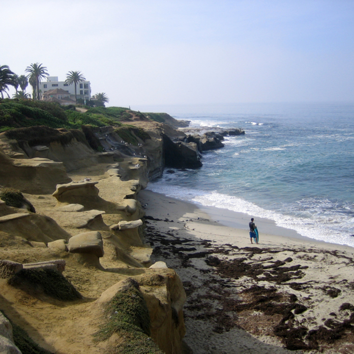 Image 10