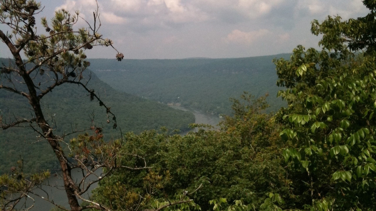 Image 15