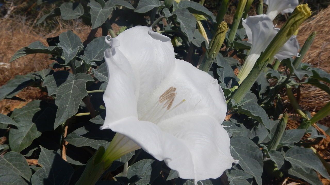 Image 11