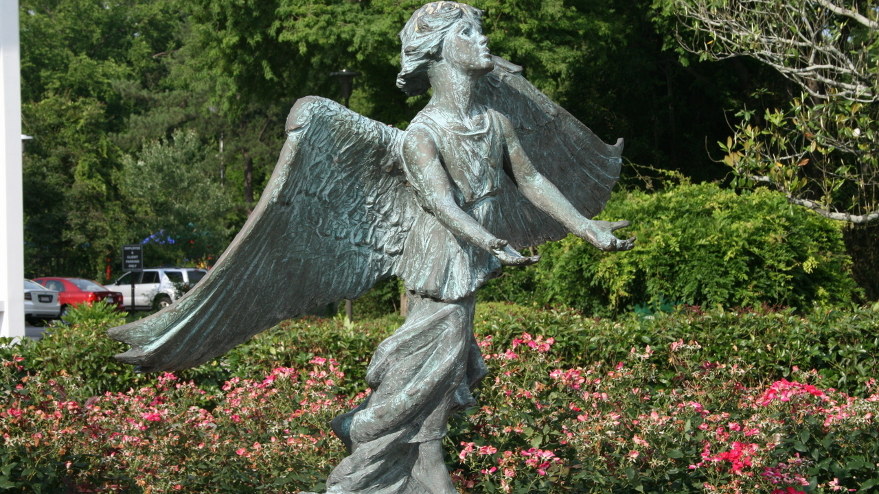 Image 7