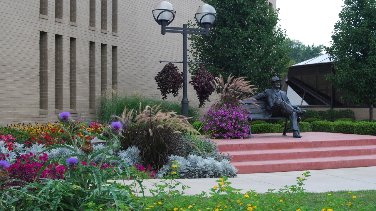 Image 15