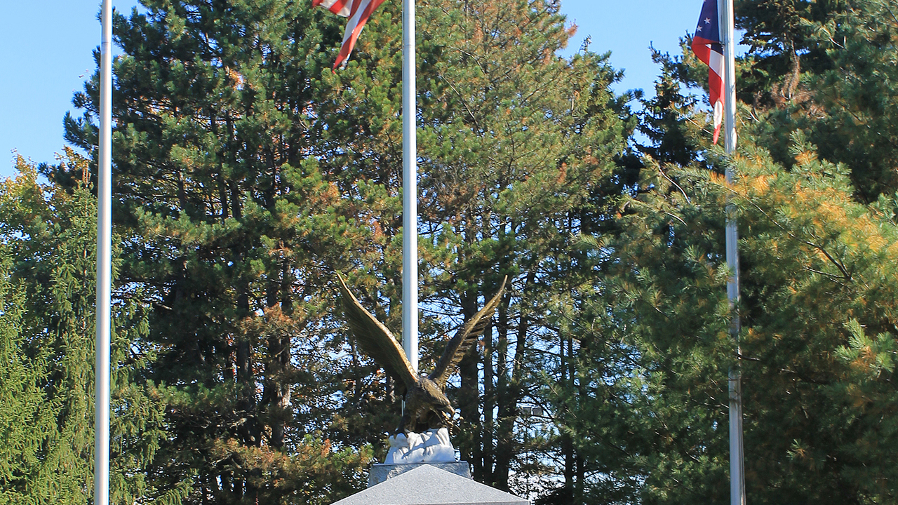 Image 15
