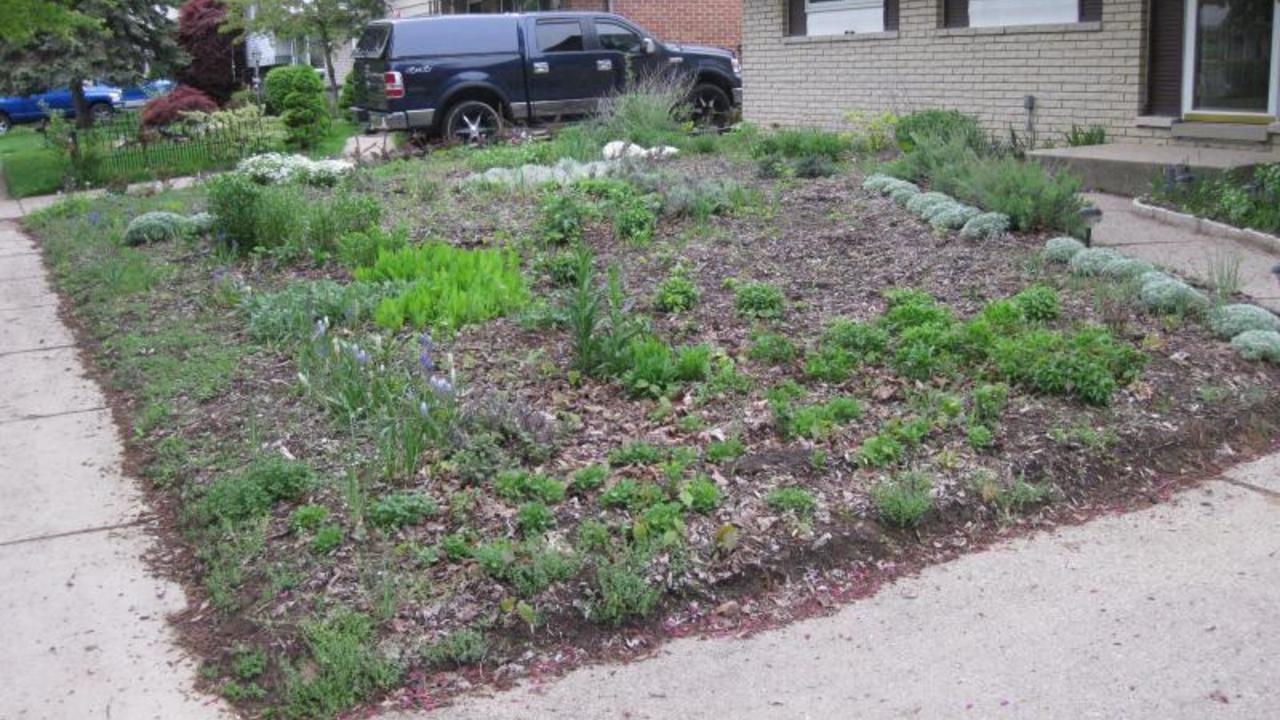 Image 7
