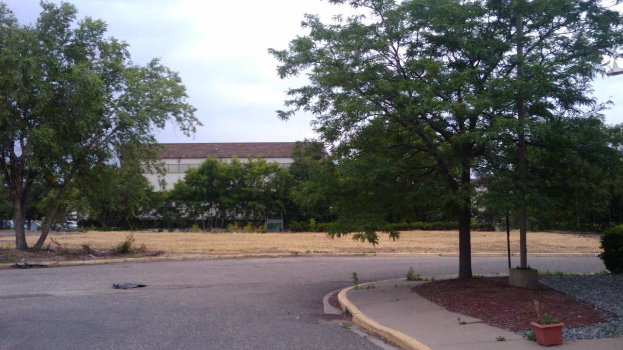 Image 8