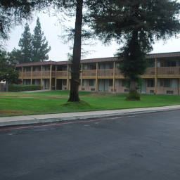 Image 16