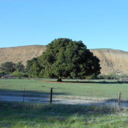 Image 21