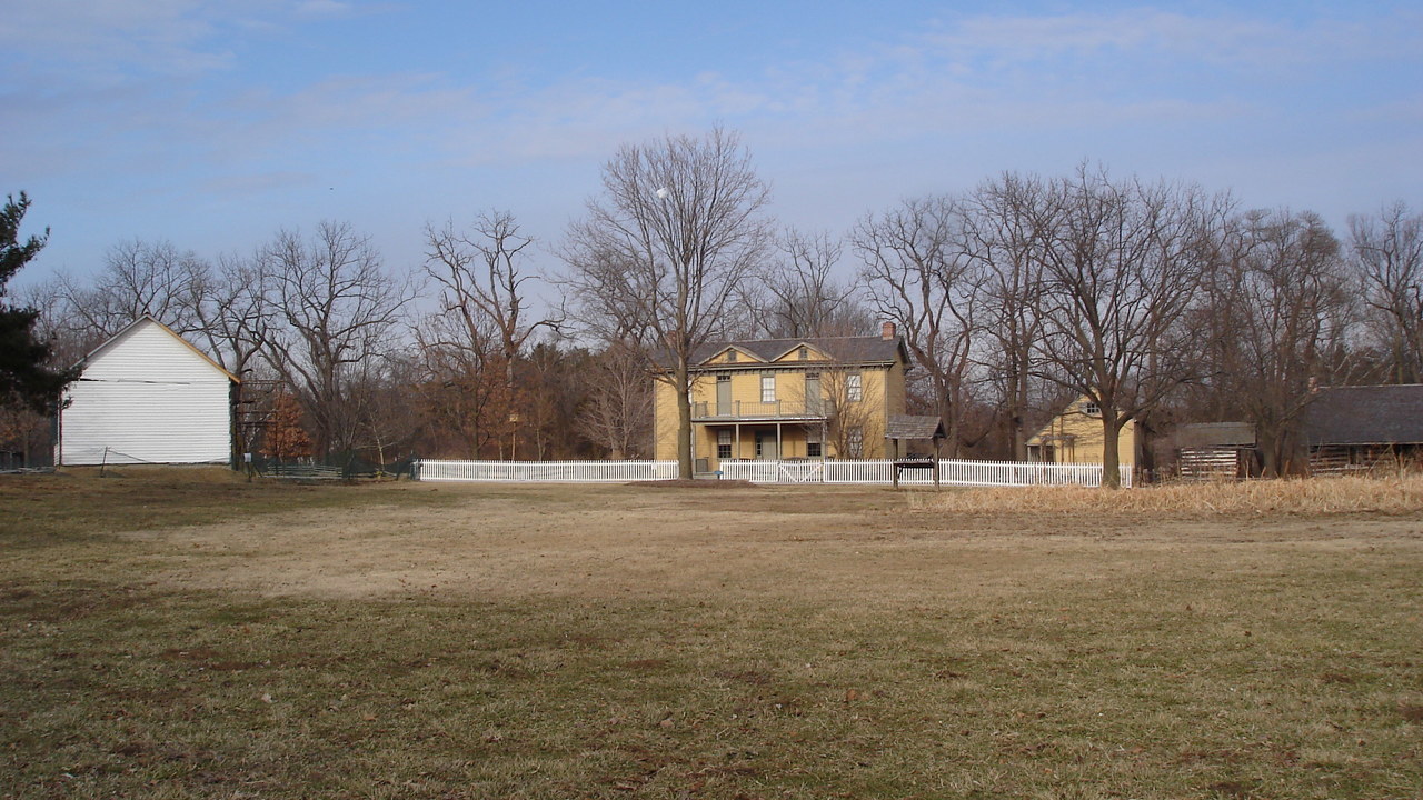 Image 7