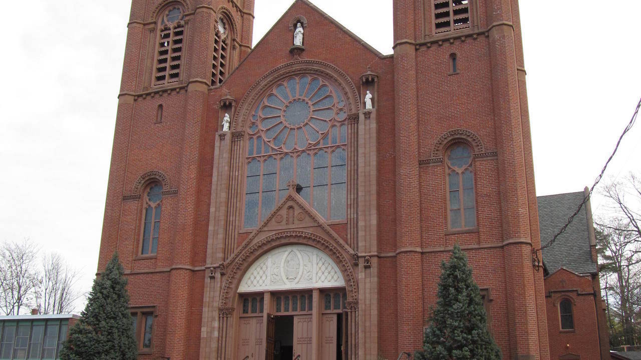 Image 15