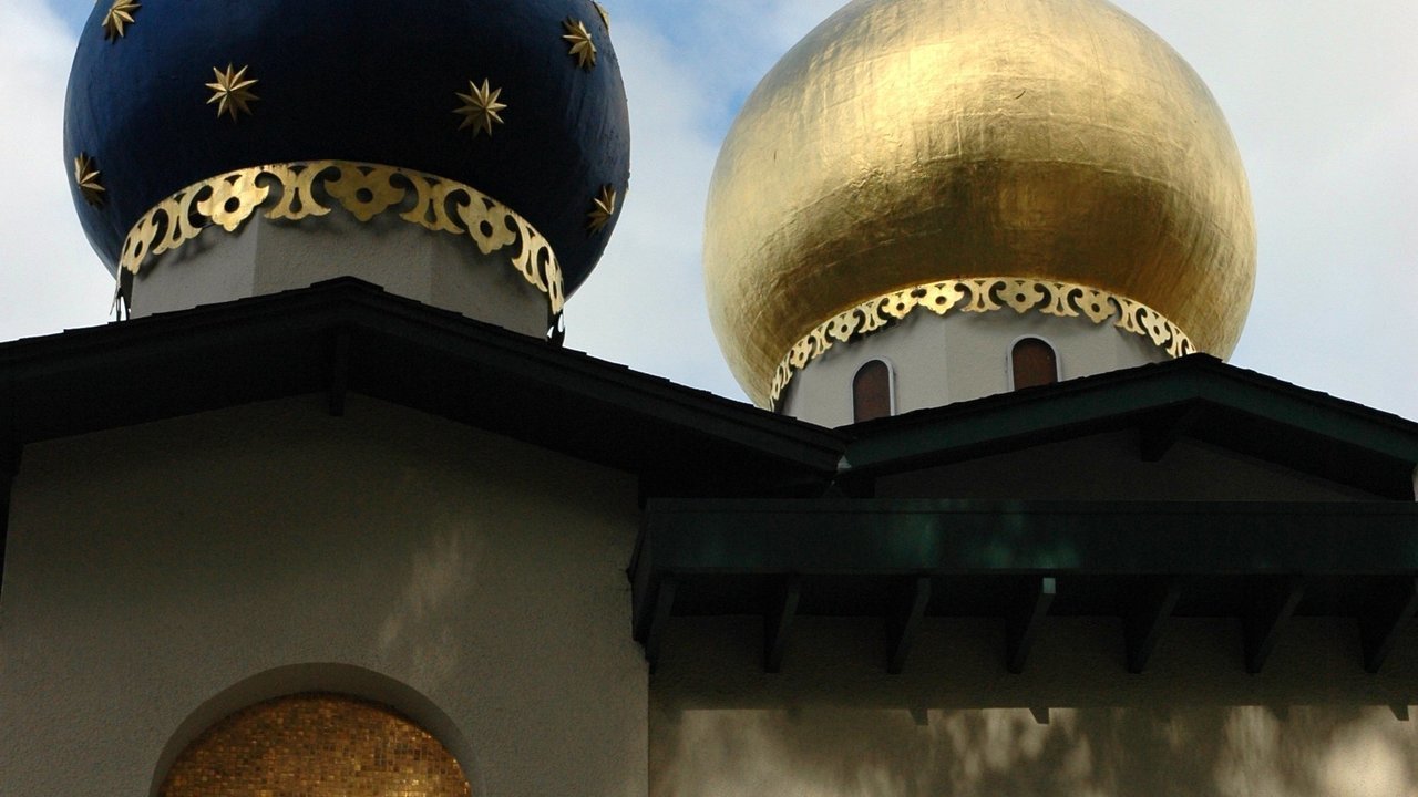 Image 5
