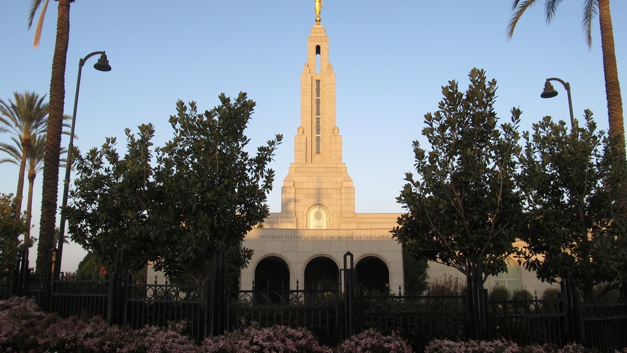 Image 8