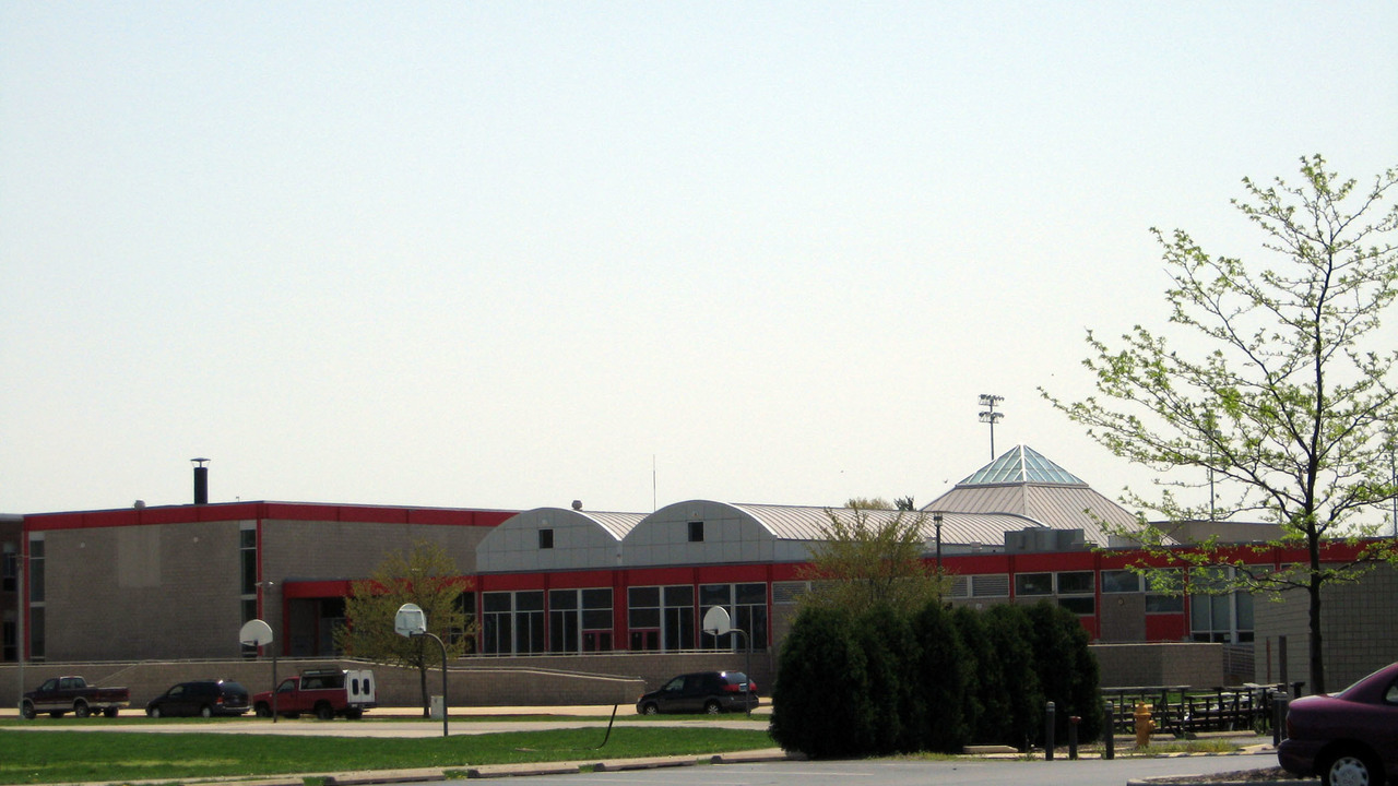 Image 4