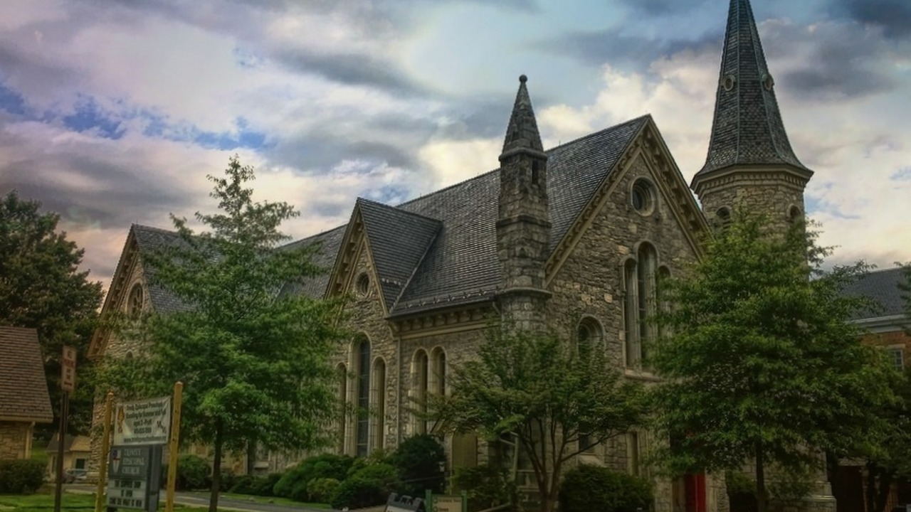 Image 8